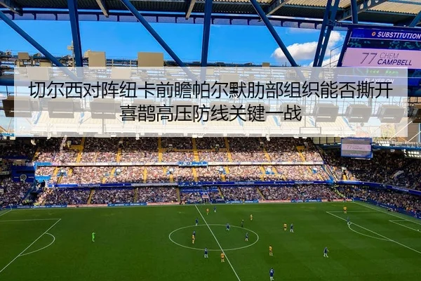 切尔西对阵纽卡前瞻帕尔默肋部组织能否撕开喜鹊高压防线关键一战